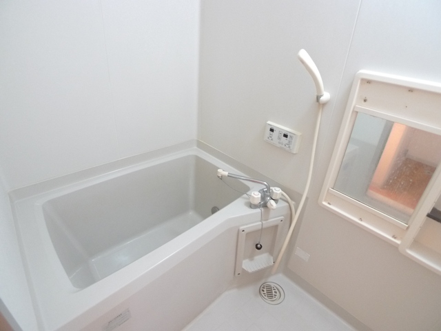 Bath. Clean bathroom