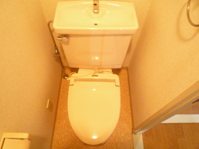 Toilet. Toilet
