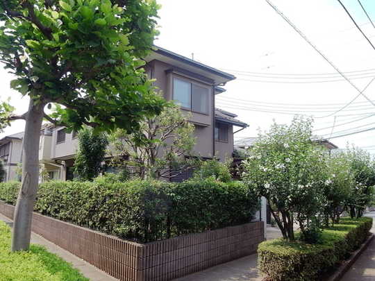 Local appearance photo