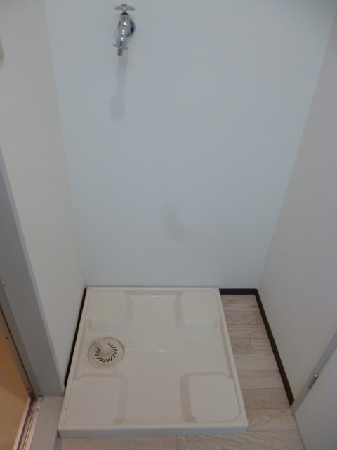Washroom. Washing machine Storage
