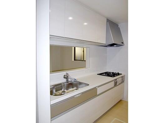 Kitchen. System kitchen