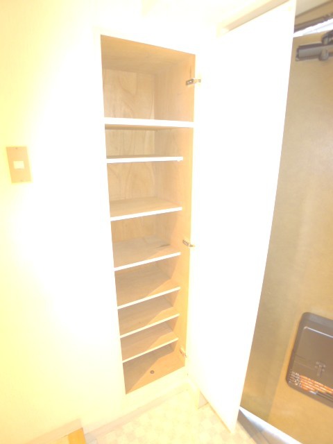 Entrance. Cupboard enhancement