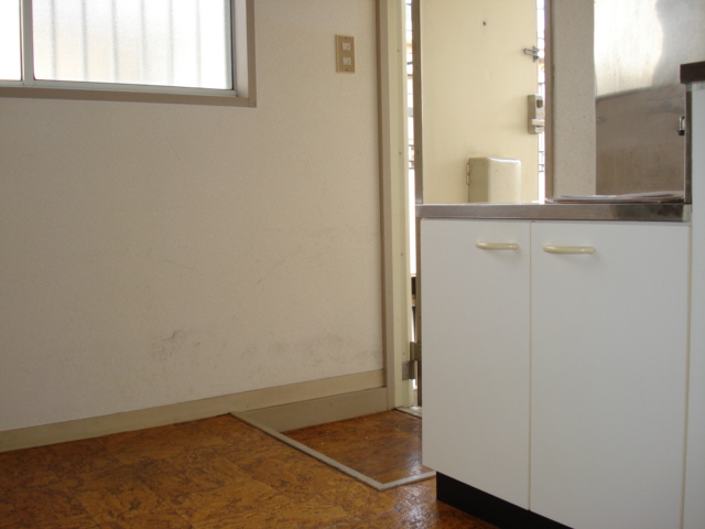 Living and room. Kitchen space