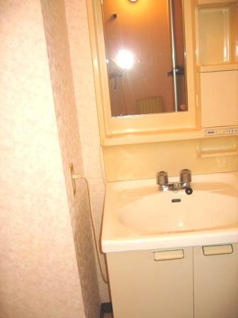 Washroom. Independent wash basin.