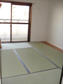 Other room space. Japanese style room