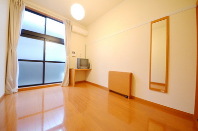 Security. TV monitor phone on the balcony side (second floor above the carpet specification)