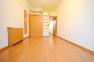 Living and room. Ceiling and there is a high airy rooms (second floor above the carpet specification)