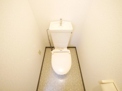 Toilet. Toilet