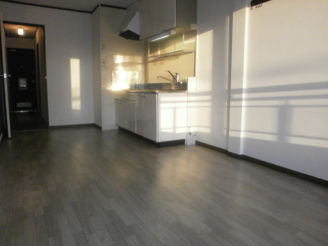 Living and room. Living