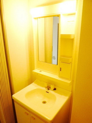 Washroom. Wash basin