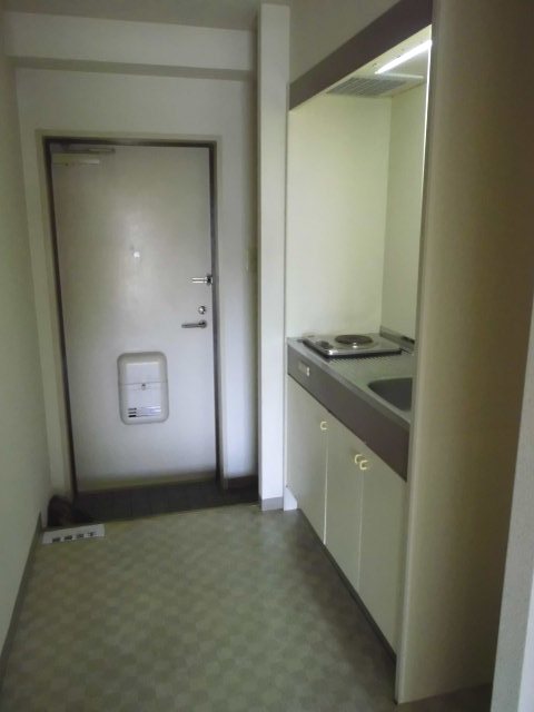 Living and room. Kitchen behind also is spread.