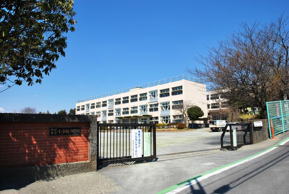 Primary school. Tokorozawa Municipal Kotesashi to elementary school 253m