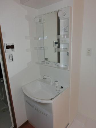 Washroom. Shower with separate wash basin