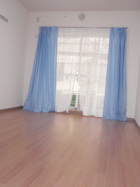 Living and room. A bright room