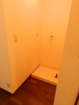 Other room space. Washing machine in the room