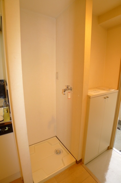 Washroom. Washing machine in the room