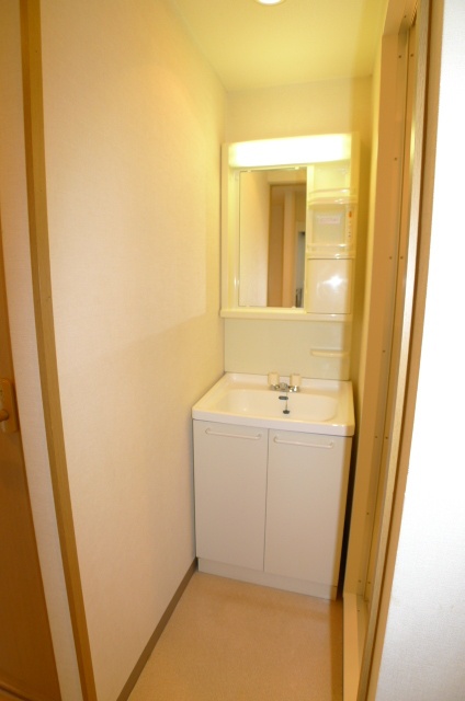 Washroom. Popular independent wash basin