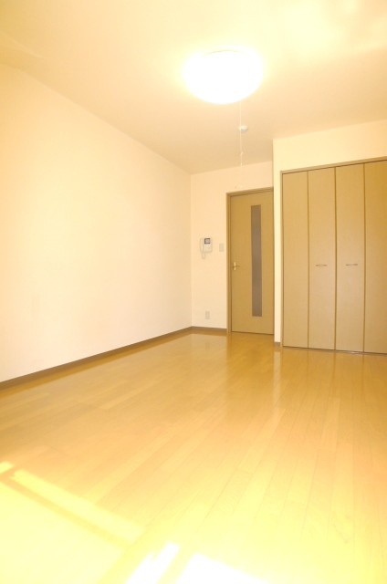 Living and room. A bright room