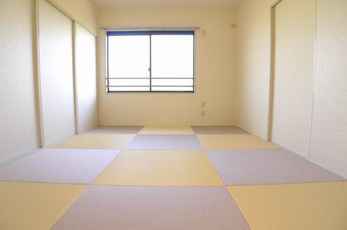 Other room space. This modern tatami of new
