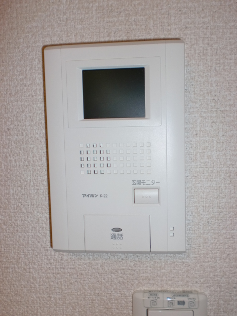 Security. TV monitor Hong