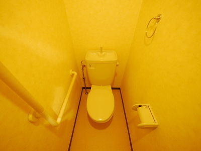Toilet. Toilet with cleanliness