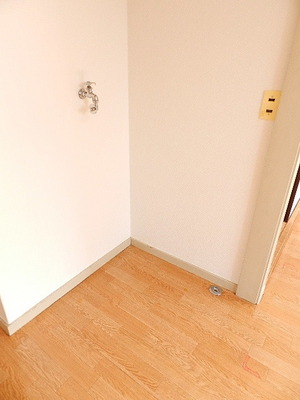 Washroom. Washing machine in the room