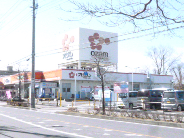 Supermarket. 150m until Ozamu (super)