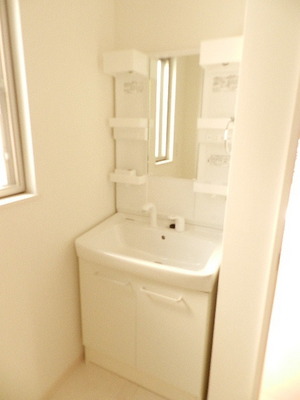 Washroom. Shampoo dresser