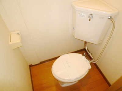 Toilet. Bathroom