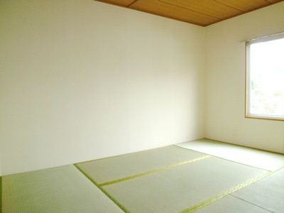 View. Japanese style room