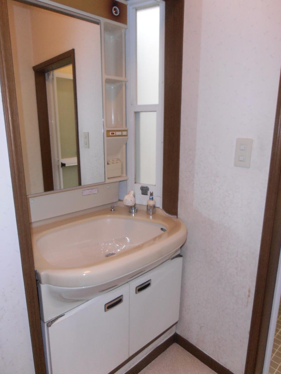 Other introspection. Wash basin (April 2013) Shooting