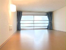 Other. loft