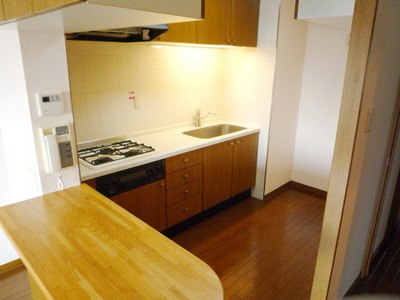 Kitchen. Spacious counter system Kitchen