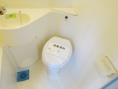 Toilet. Toilet