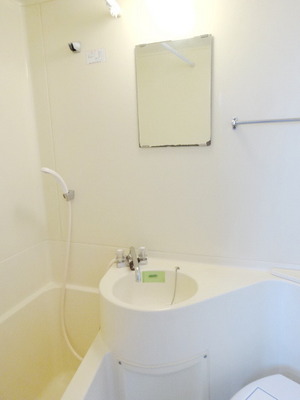 Washroom. Lavatory bowl