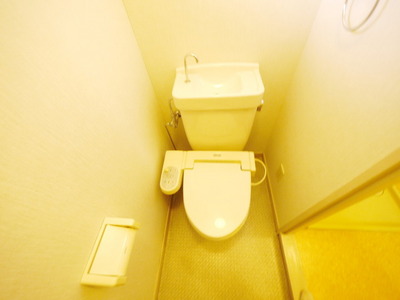 Toilet. Toilet