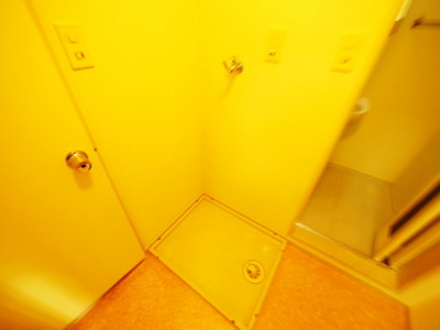 Washroom. Washing machine in the room