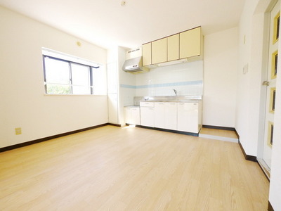 Living and room. Room spacious