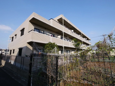 Building appearance