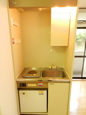 Kitchen. Mini fridge, With electric stove!