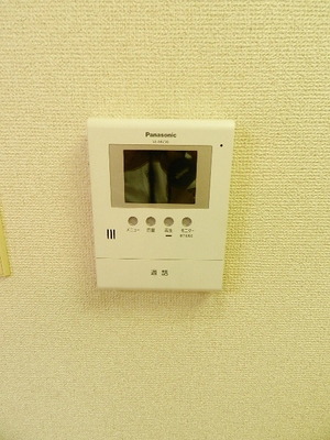 Other. TV Monitahon