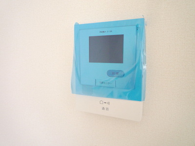 Security. TV Monitahon