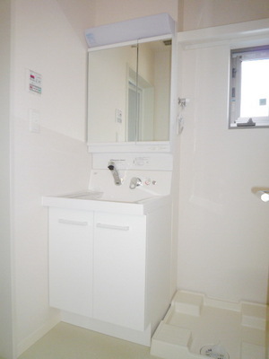 Washroom. Shampoo dresser
