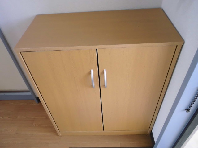 Entrance. There cupboard
