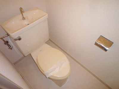 Toilet. Toilet