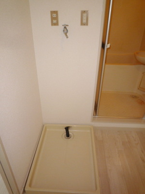 Washroom. Washing machine in the room