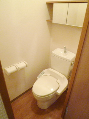 Toilet. Bathroom with a shower