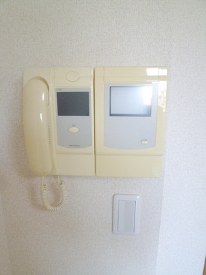 Security. TV monitor Hong