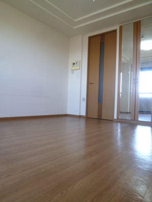 Other room space. We with mirrors in the closet