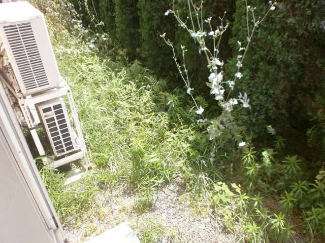 Balcony. Veranda